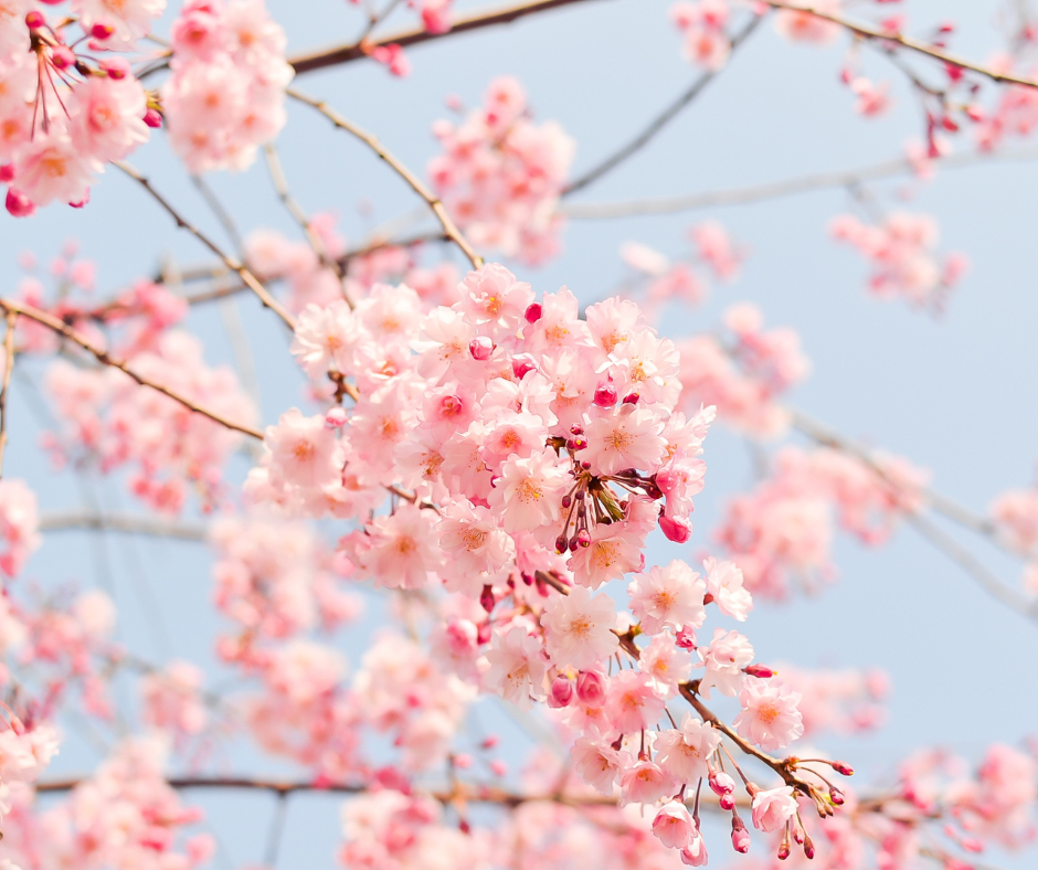 IUSTO saluta la primavera | 20 marzo